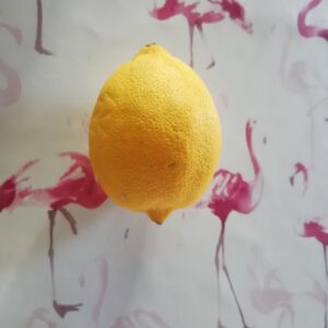 citroen A