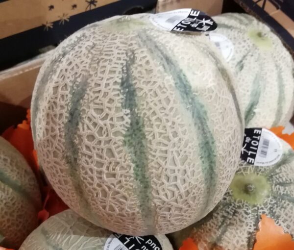 Meloen1oranje