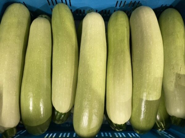 Courgettewit